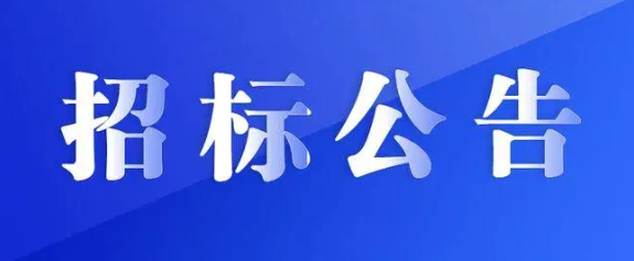 九江长运8辆定制客车采购项目竞争性探讨通告